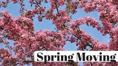 Healthy Tips For Moving in Spring Season